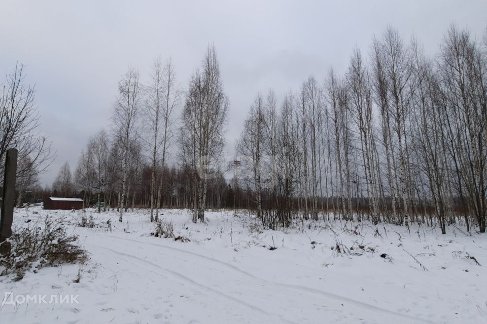 земля городской округ Нижняя Салда, Нижняя Салда фото 6