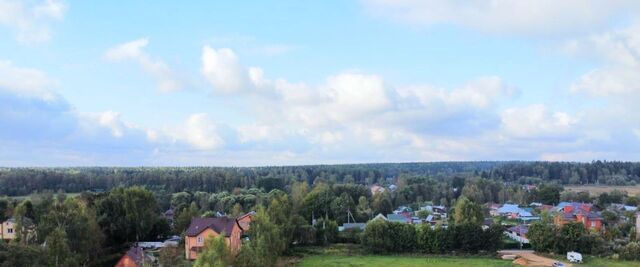 земля городской округ Пушкинский д Василёво 7 фото