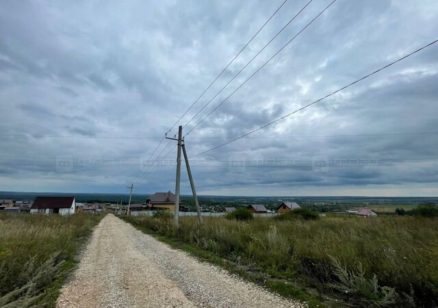 Усадское сельское поселение, товарищество собственников недвижимости садовое некоммерческое товарищество Раздолье, Сквозная аллея фото