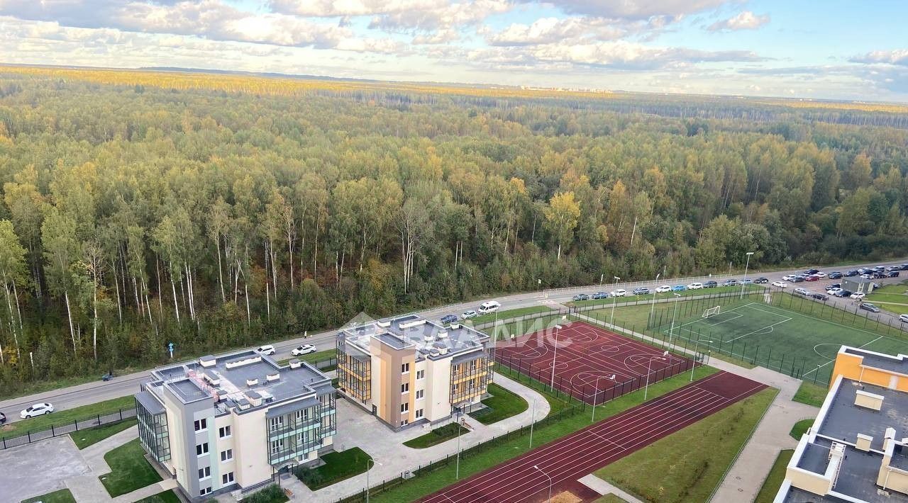 квартира г Санкт-Петербург метро Гражданский Проспект ул Пейзажная 24к/3 ЖК «Цветной город» округ Полюстрово фото 17