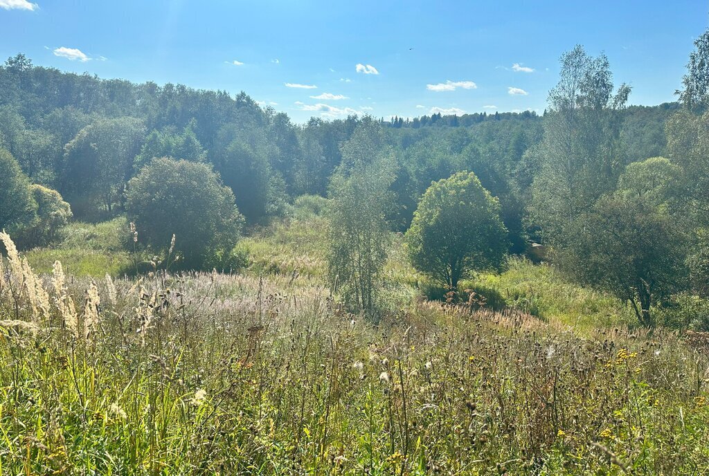 земля городской округ Клин д Новинки фото 29