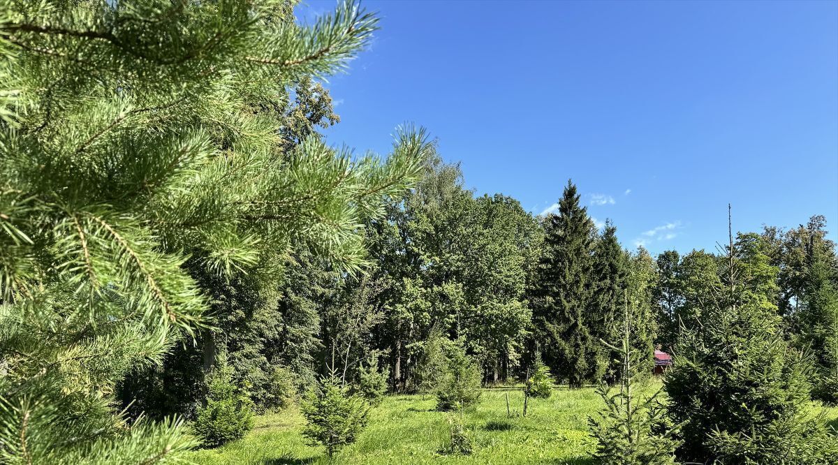 земля городской округ Мытищи д Аксаково ул Санаторная Хлебниково фото 4