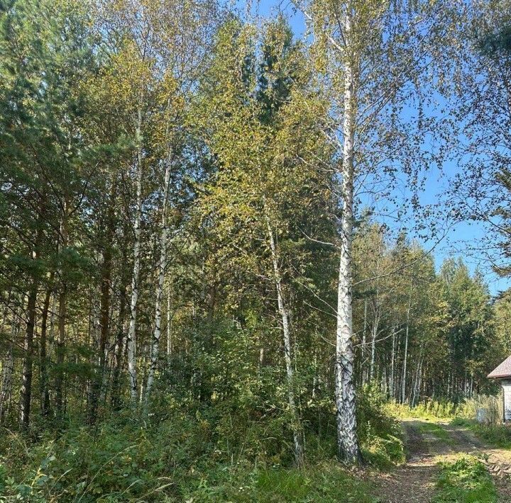 дом р-н Белоярский п Гагарский ул 3-я Парковая загородный комплекс Лайф тер. фото 12