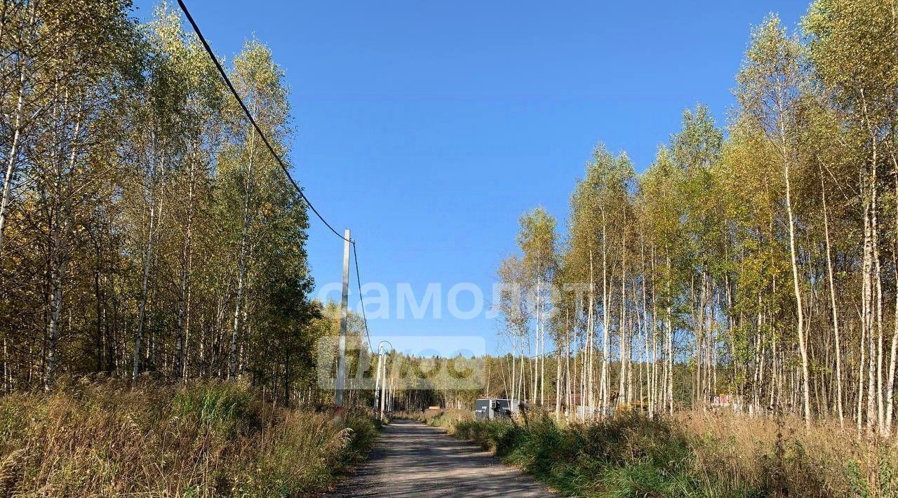 земля городской округ Одинцовский Лапин О 2 кп, Одинцово, 149 фото 8