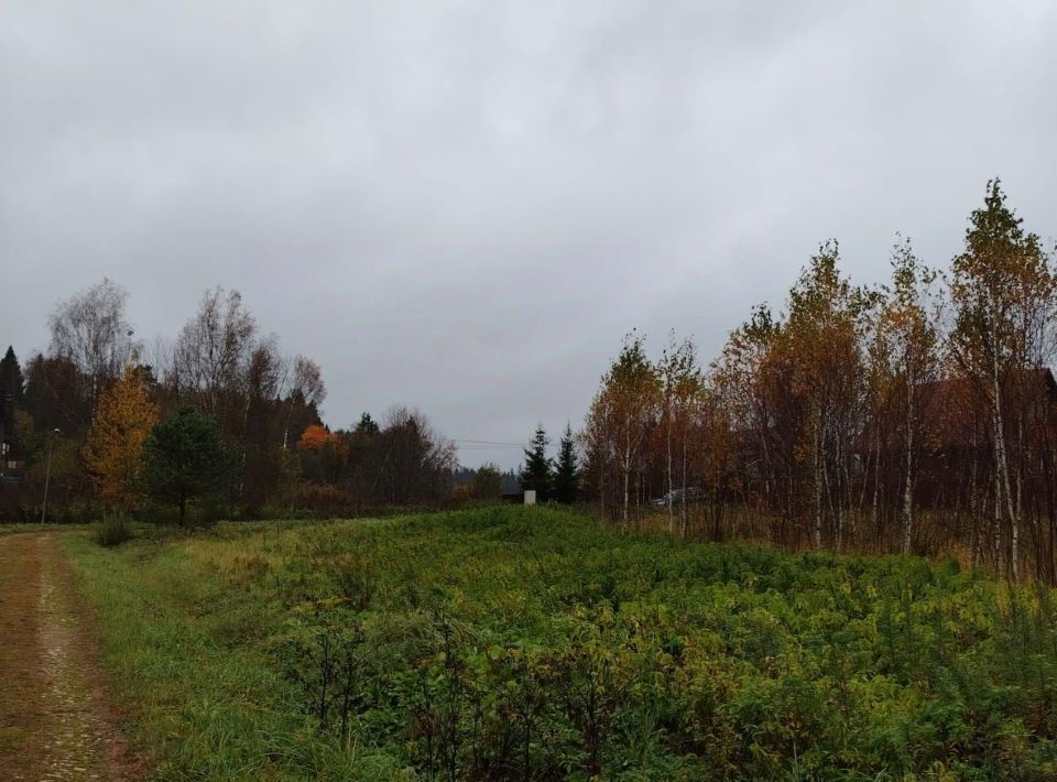 земля городской округ Истра д Гребеньки фото 1