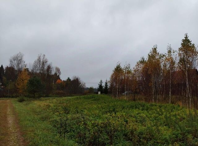 земля городской округ Истра д Гребеньки фото