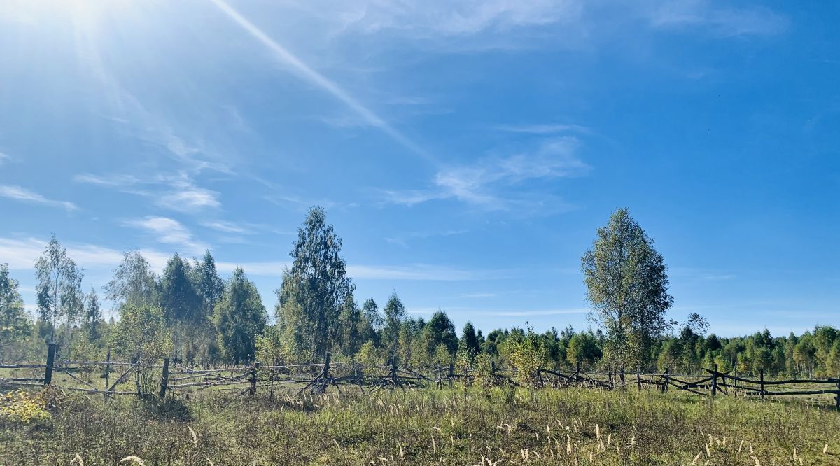 земля р-н Веневский д Свиридово 2-е Алексинский район фото 6