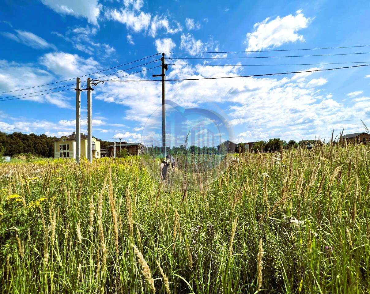 земля городской округ Ленинский д Горки Каширское шоссе фото 7