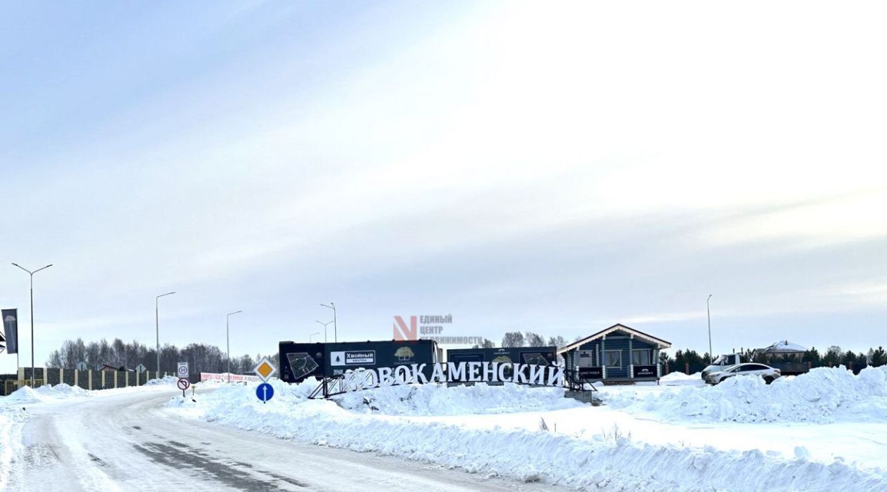 земля р-н Тюменский Новокаменский кп, ул. Васнецова фото 18