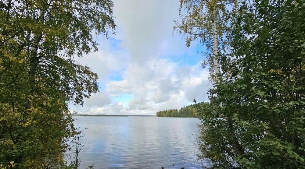 земля р-н Всеволожский Токсовское городское поселение, Токсово городской поселок, Девяткино, ул. Пляжная, 5 фото 28