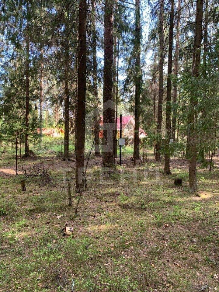 земля р-н Гатчинский городской поселок Вырица, Майский проспект фото 1