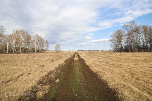 жилой комплекс Палитра фото