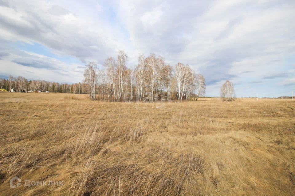 земля р-н Первомайский с Фирсово жилой комплекс Палитра фото 4