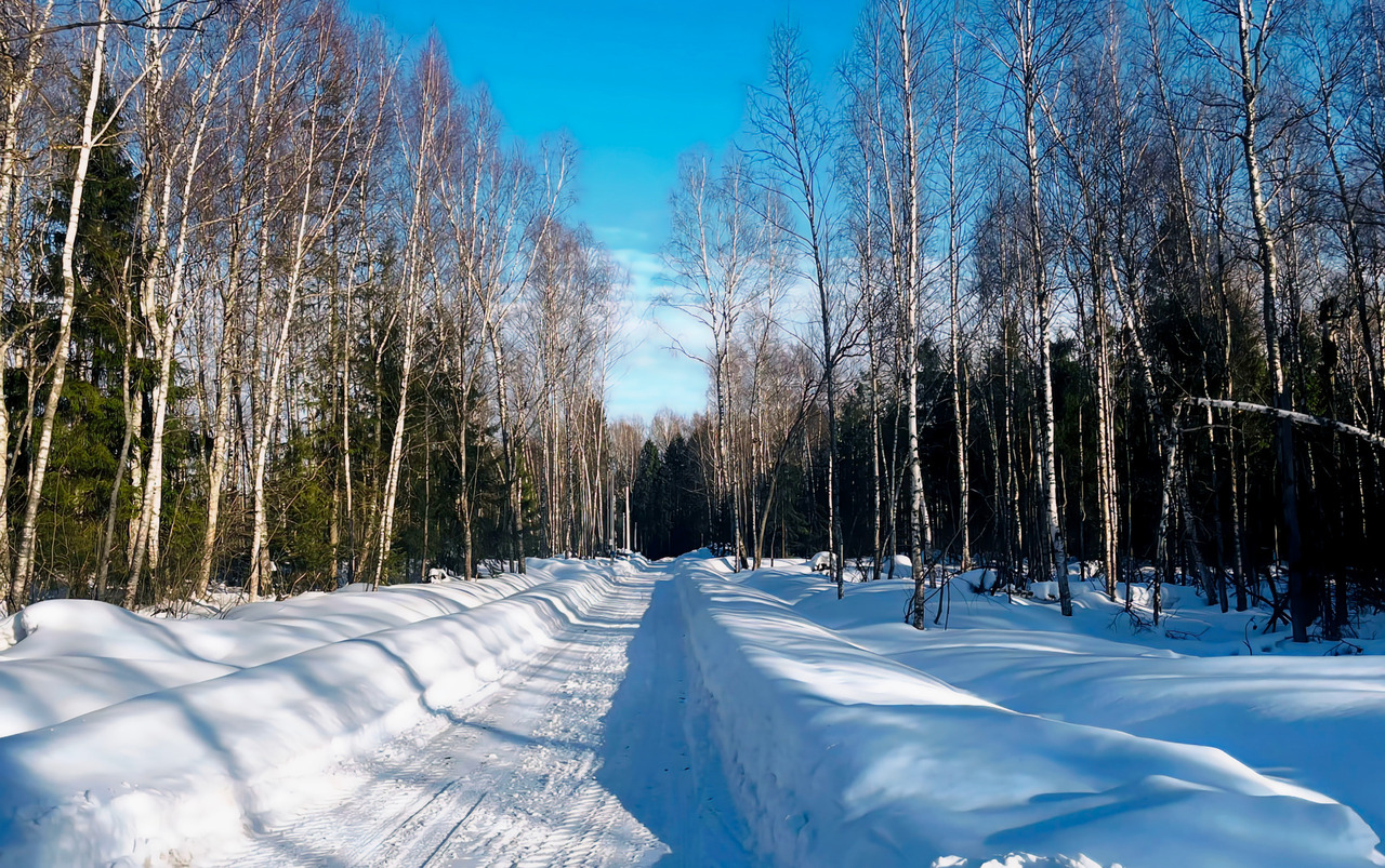 земля городской округ Дмитровский п Новое Гришино фото 8