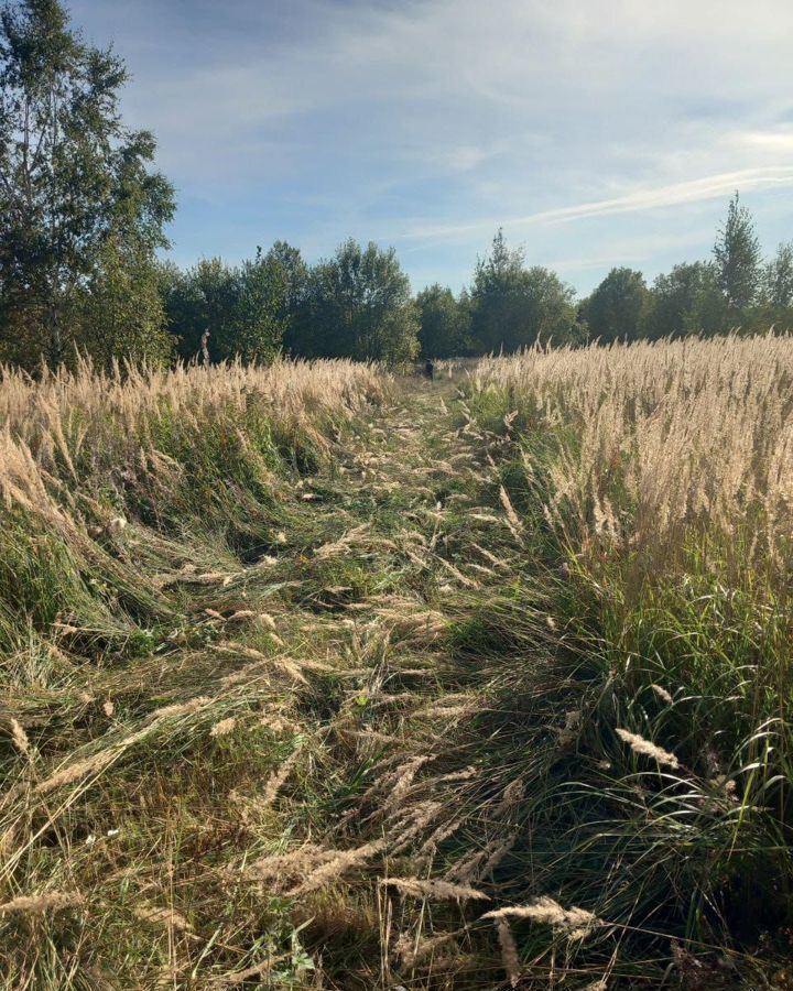 земля городской округ Сергиево-Посадский д Алексеево 10628 км, Сергиев Посад, Ярославское шоссе фото 9