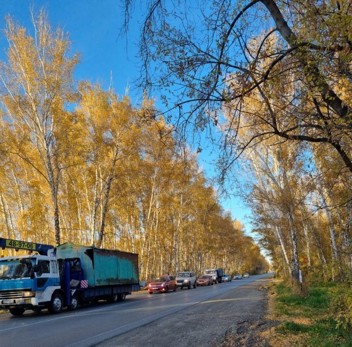 земля г Омск снт Садовод Пушкинское с/пос, аллея 9-я, Омский район фото 10