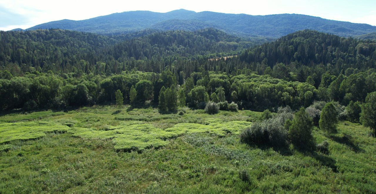 земля р-н Чойский с Кара-Торбок Горно-Алтайск фото 3