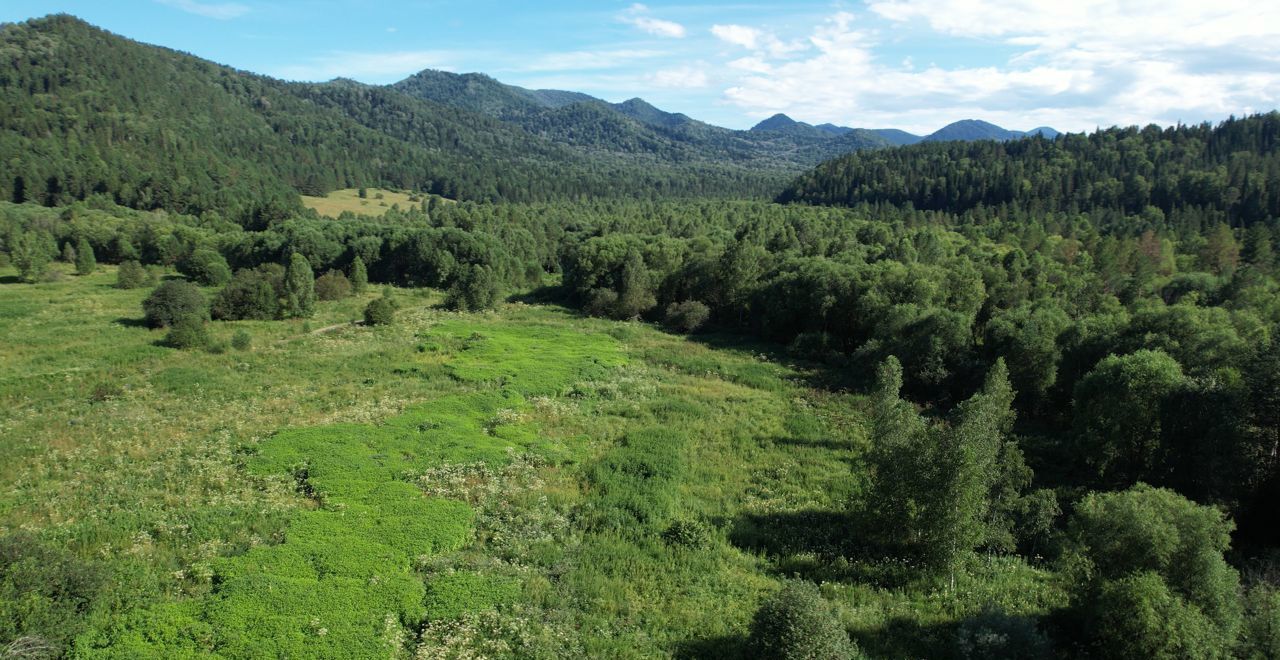 земля р-н Чойский с Кара-Торбок Горно-Алтайск фото 6