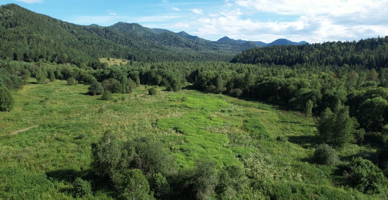 земля р-н Чойский с Кара-Торбок Горно-Алтайск фото 24