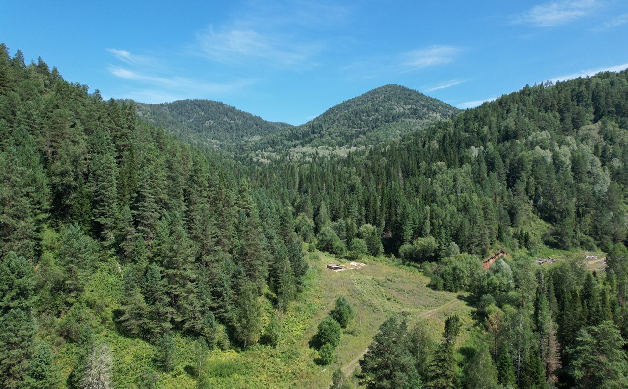 земля р-н Чойский с Кара-Торбок Горно-Алтайск фото 10