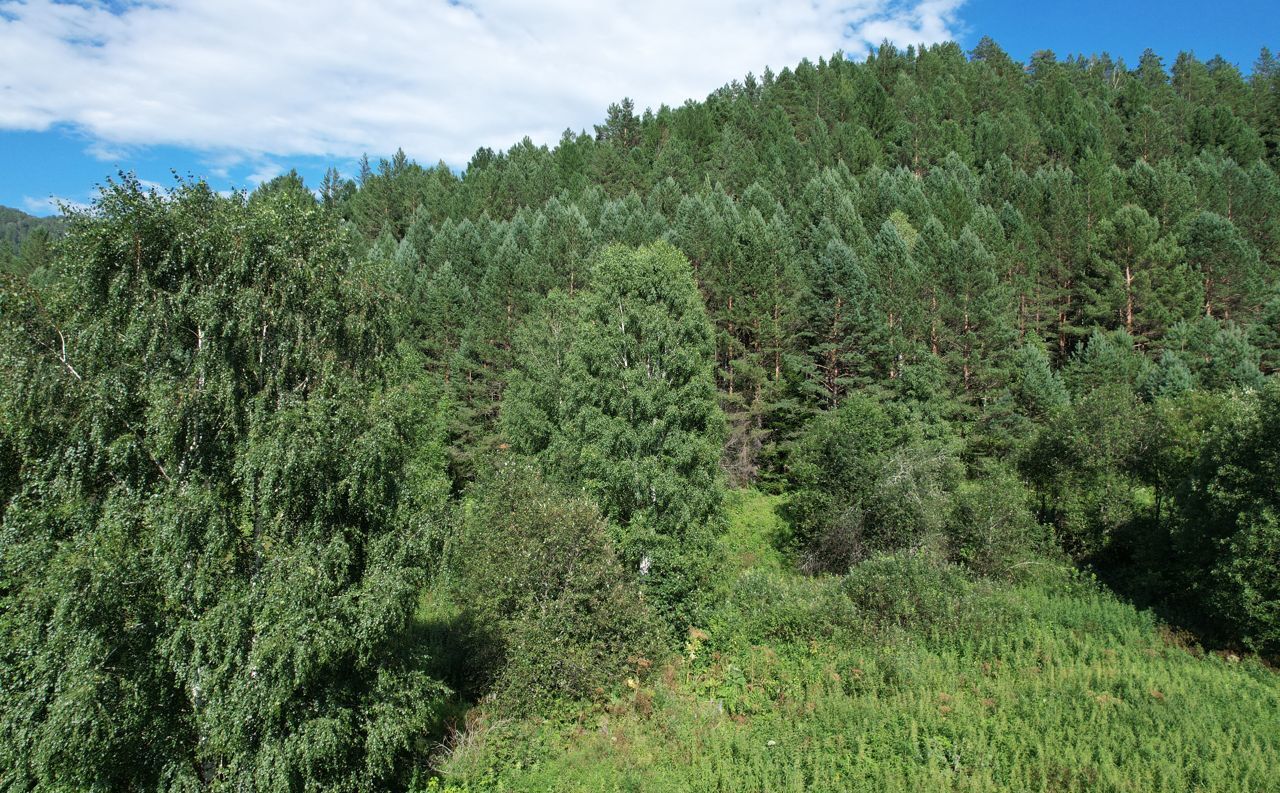 земля р-н Чойский с Кара-Торбок Горно-Алтайск фото 32