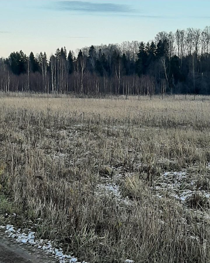 земля городской округ Рузский д Горки 79 км, Руза, Минское шоссе фото 2