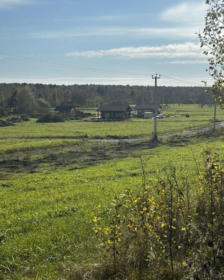 земля р-н Первомайский снт тер.Платоново ул Тополиная Зудилово фото 4