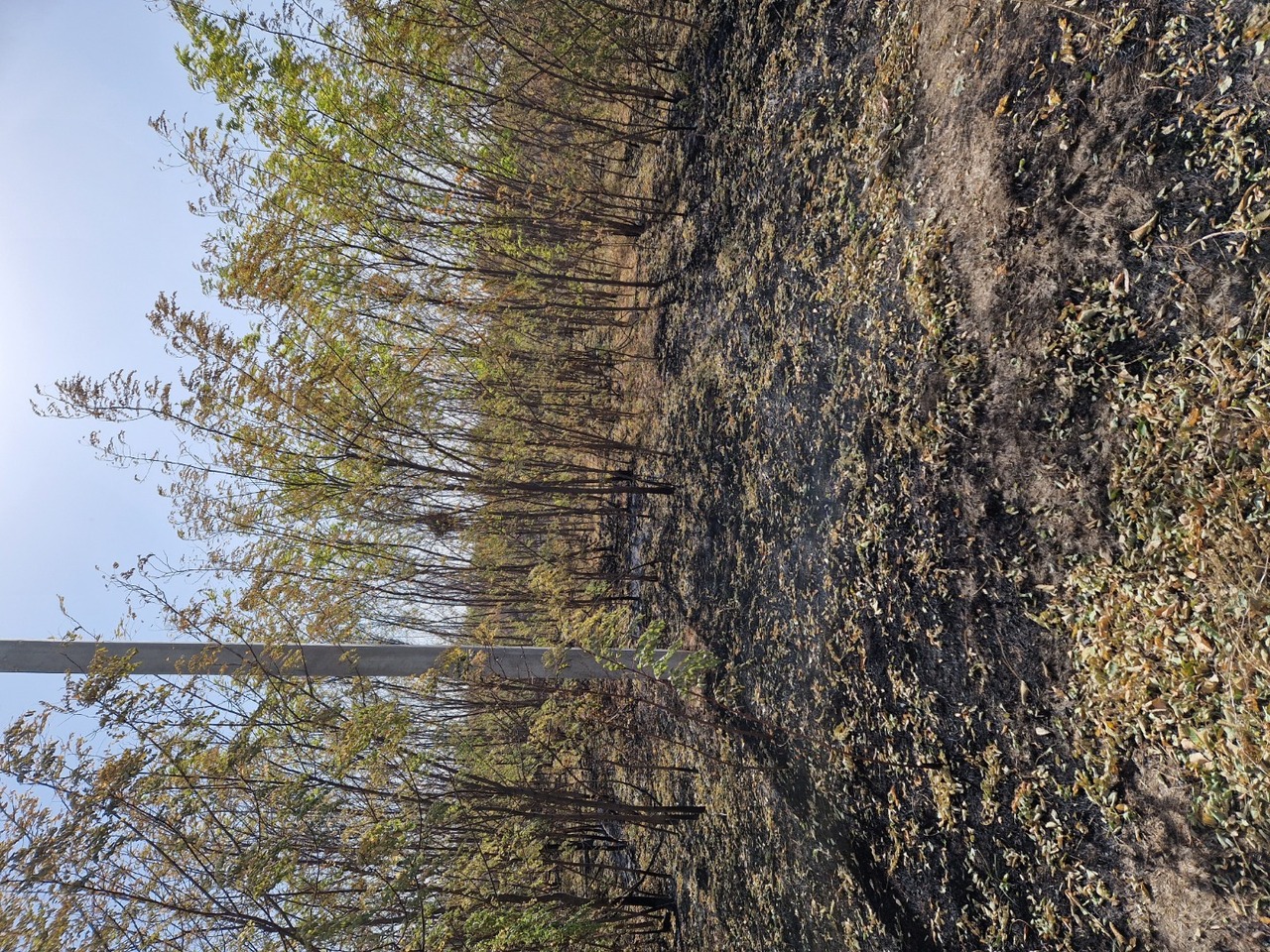 земля г Новочеркасск Октябрьский ул Чехова Новочеркасск г., ул. Персиановская пересекается с ул. Чехова фото 4