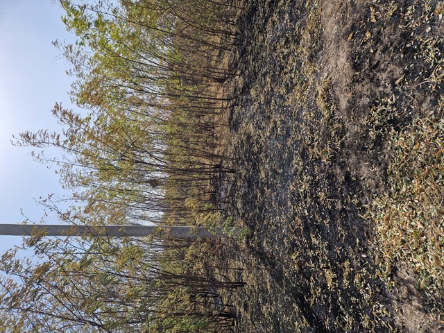 г Новочеркасск Октябрьский ул Чехова Новочеркасск г., ул. Персиановская пересекается с ул. Чехова фото 4