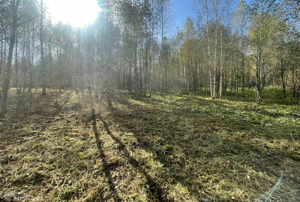 земля городской округ Волоколамский коттеджный посёлок Львовские Озёра фото 14