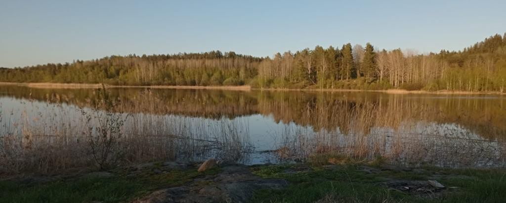 земля г Сортавала Сортавальский р-н, Сортавальское городское поселение, местечко Телкинниэми фото 3