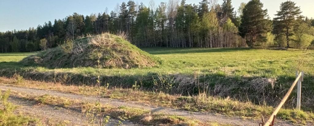 земля г Сортавала Сортавальский р-н, Сортавальское городское поселение, местечко Телкинниэми фото 5