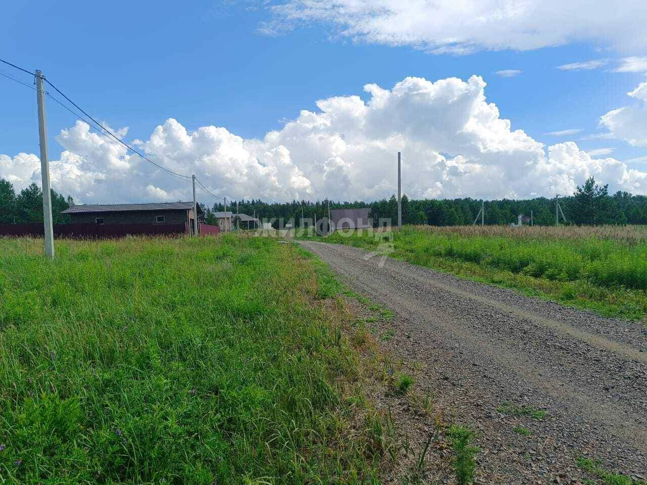 земля р-н Первомайский с Фирсово ул Грибная фото 3