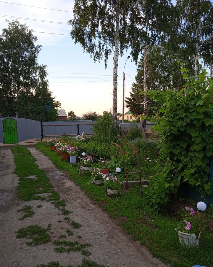 дом р-н Немецкий национальный с Шумановка Немецкий р-н, Славгород фото 3