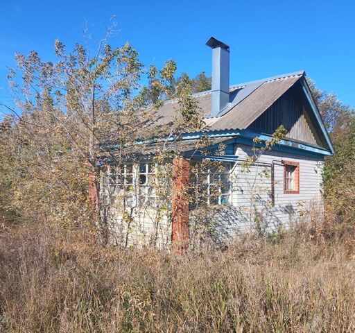 с Пеньки ул Центральная 24 Моршанск фото