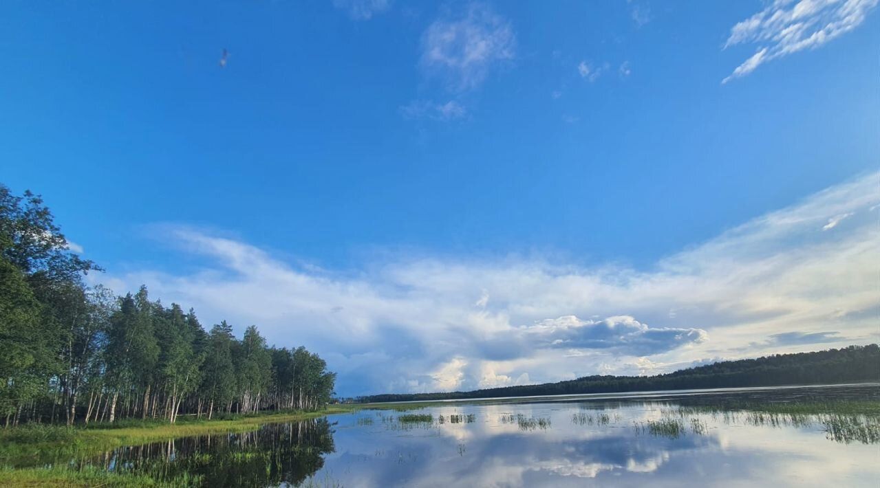 земля р-н Всеволожский Токсовское городское поселение, Экофорест 2 кп фото 2