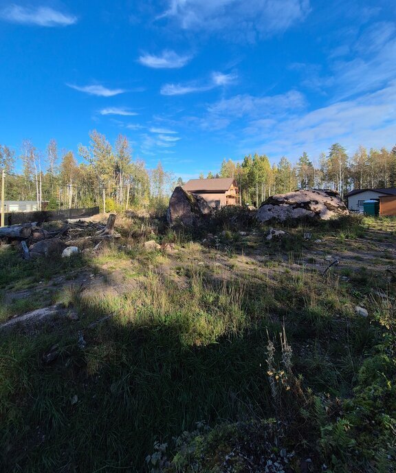 земля р-н Выборгский Приморское городское поселение, коттеджный посёлок Сосновый пляж, 77 фото 9