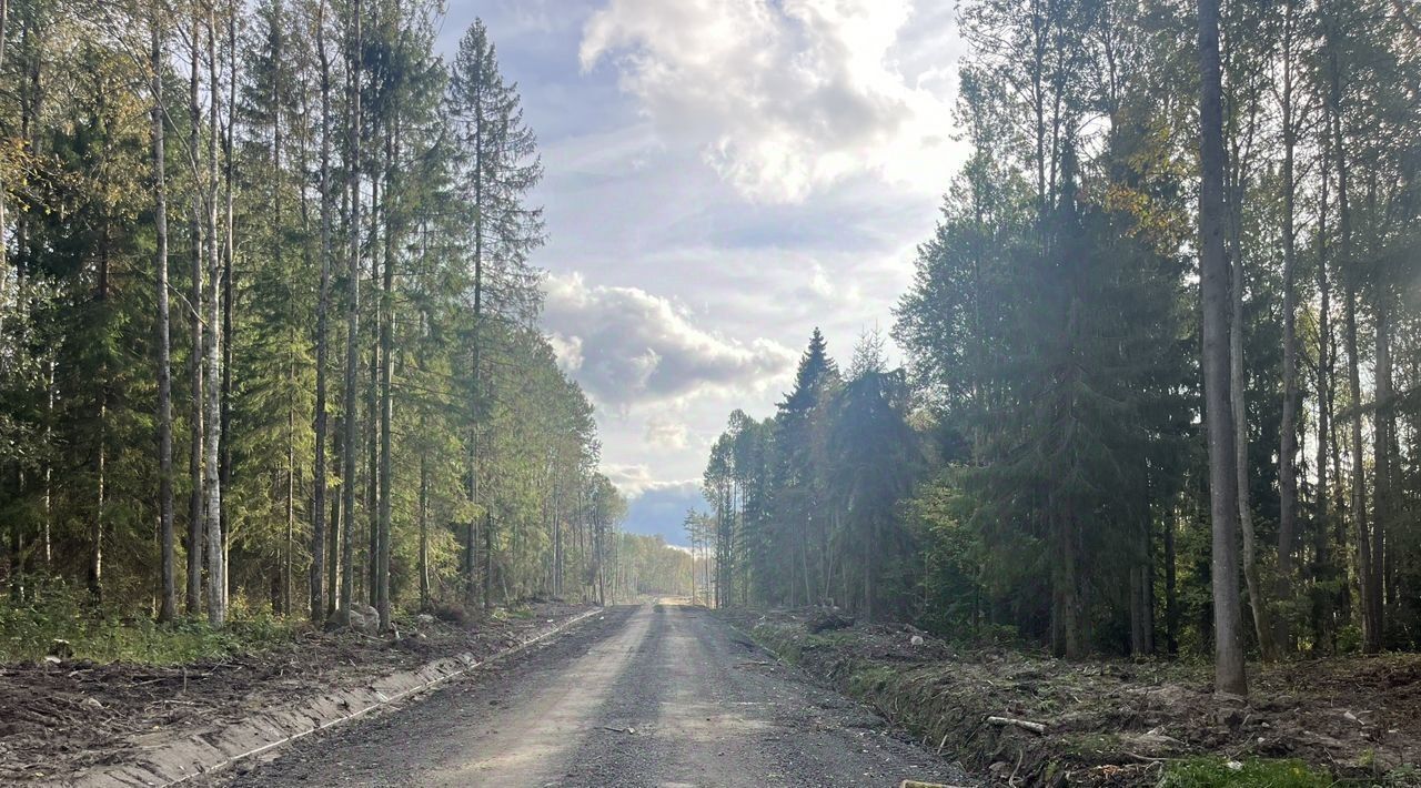 земля р-н Всеволожский Токсовское городское поселение, Экофорест 2 кп фото 7