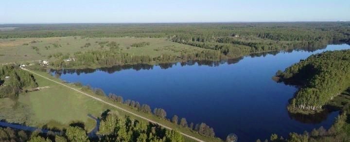 земля городской округ Коломенский д Сурино 19А, Коломна городской округ фото 9