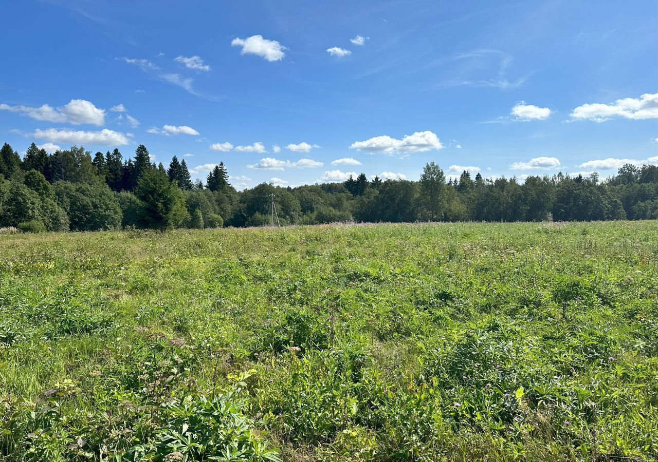 земля городской округ Клин д Вертково 9793 км, Новопетровское, Новорижское шоссе фото 2