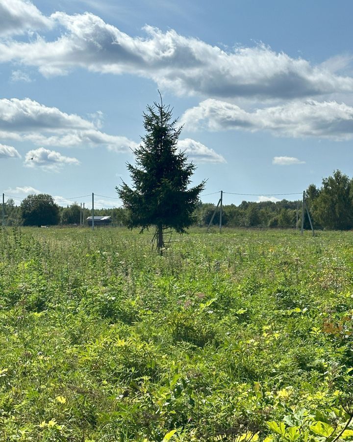 земля городской округ Клин д Вертково 9793 км, Новопетровское, Новорижское шоссе фото 15