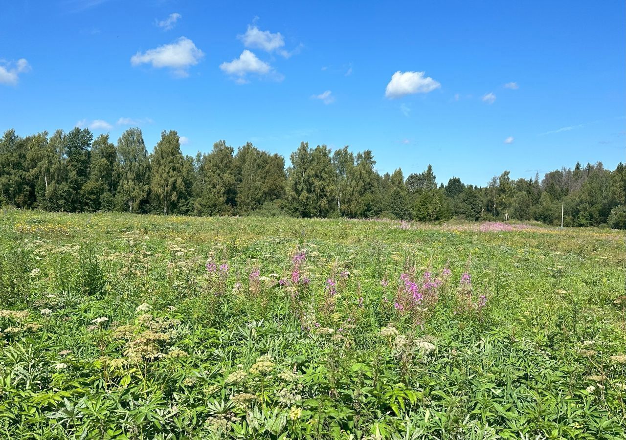 земля городской округ Клин д Вертково 9793 км, Новопетровское, Новорижское шоссе фото 36