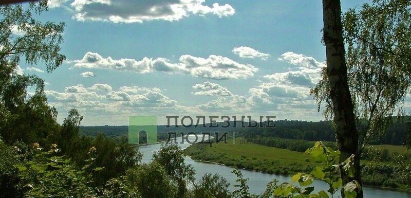 земля р-н Алексинский с Бунырево днп тер.Ока Лесная фото 1