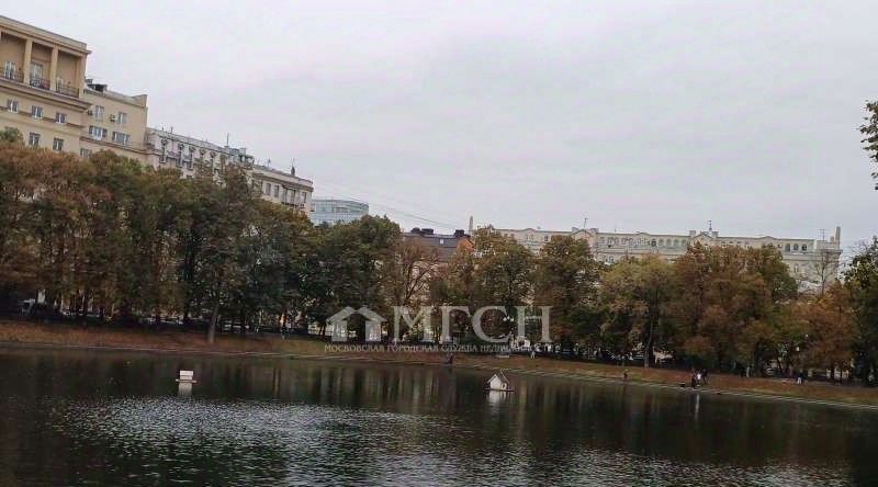 квартира г Москва метро Пушкинская пер Большой Патриарший 12с/1 фото 28