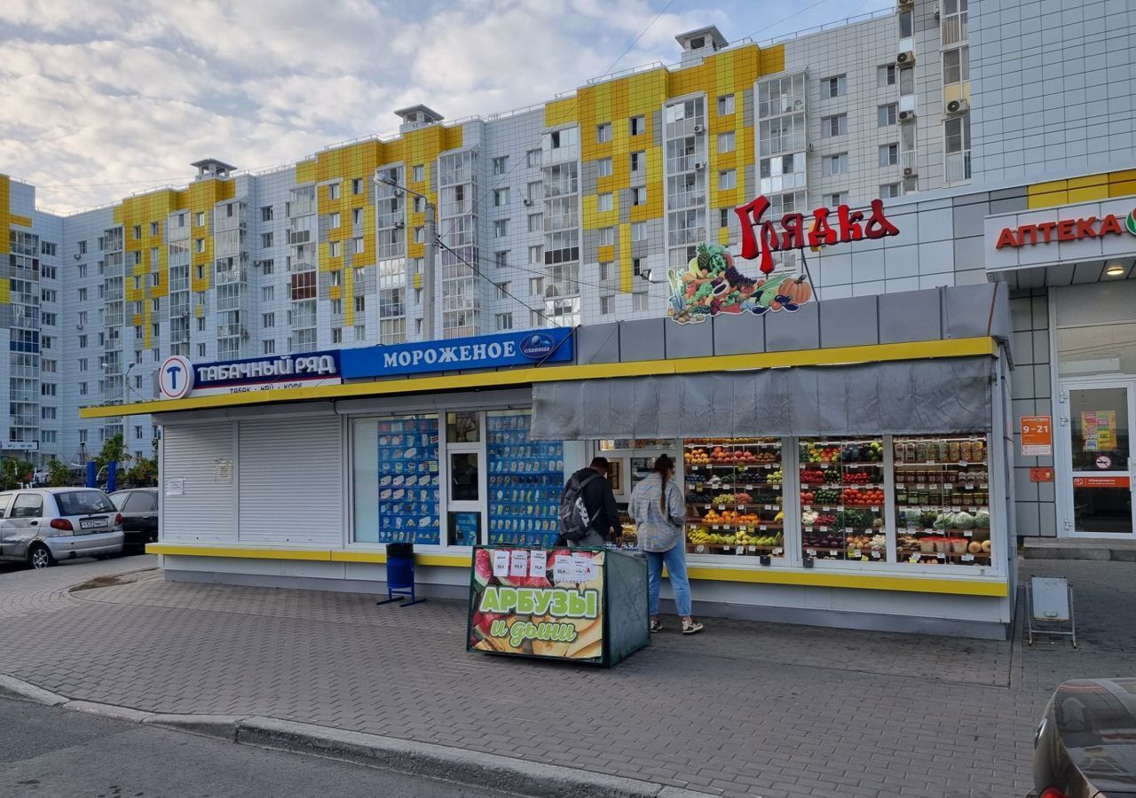 торговое помещение р-н Новоусманский п Отрадное ул Романтическая 4 Отрадненское сельское поселение, Воронеж фото 2