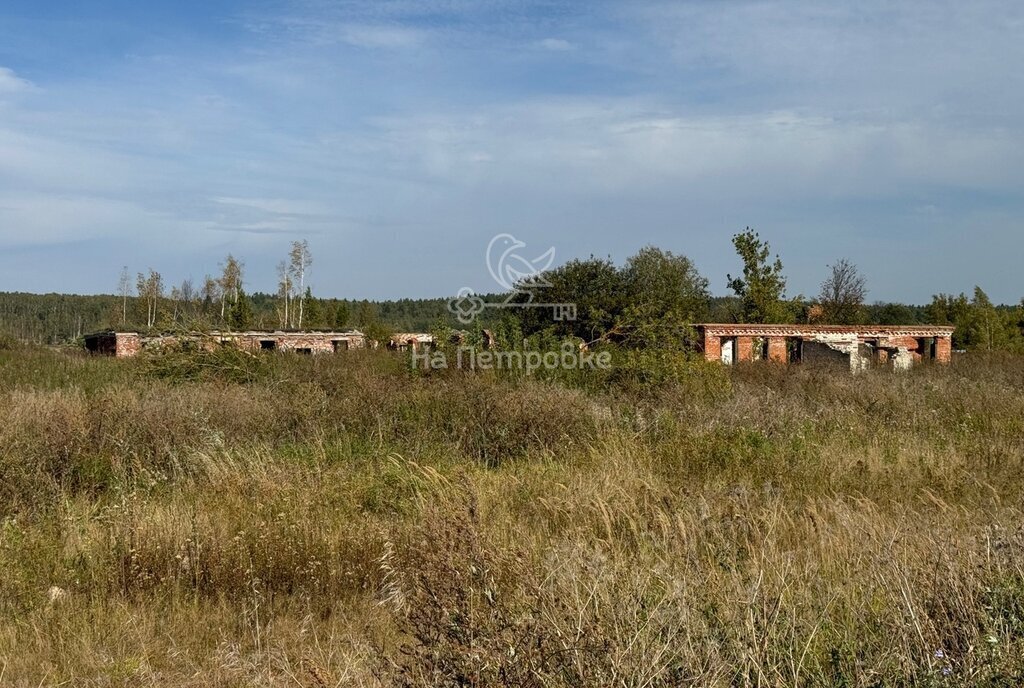 земля городской округ Ступино с Федоровское фото 3