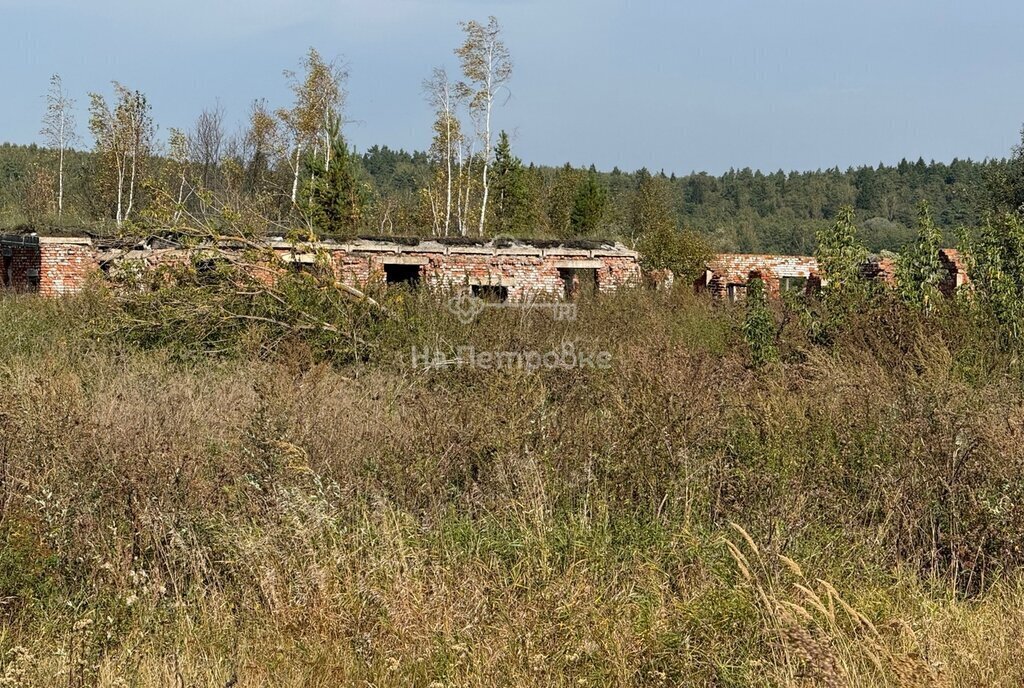 земля городской округ Ступино с Федоровское фото 9