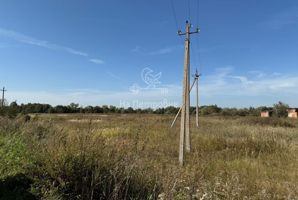 земля городской округ Ступино с Федоровское фото 14