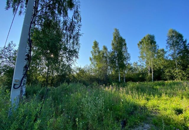 р-н Октябрьский Большие Пазелы ул Мещерская фото