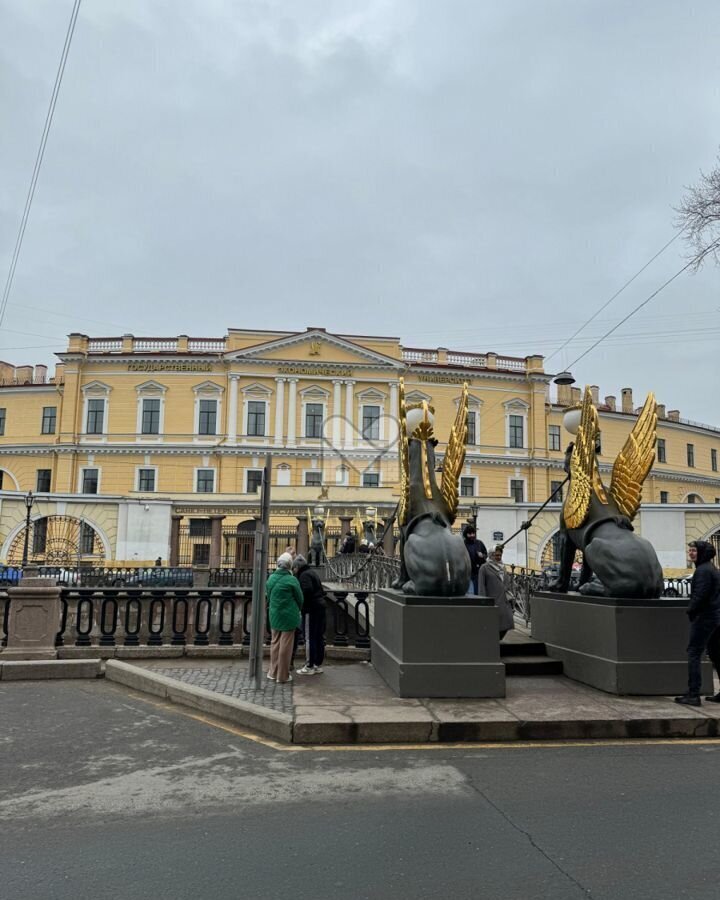 свободного назначения г Санкт-Петербург метро Невский Проспект наб Канала Грибоедова 29 фото 9